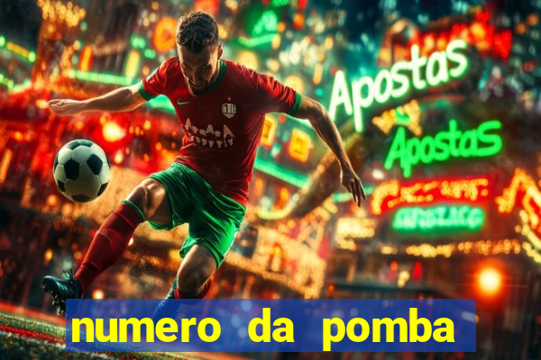 numero da pomba jogo do bicho